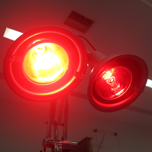 stimulation énergétique lampe infrarouge